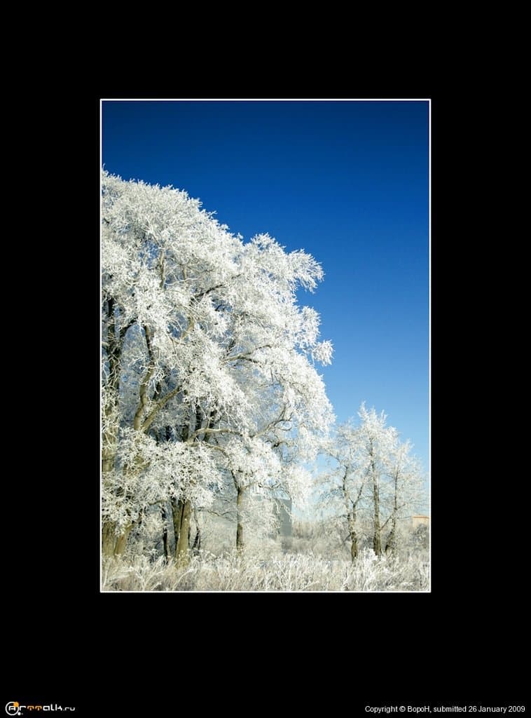 Коралловый риф