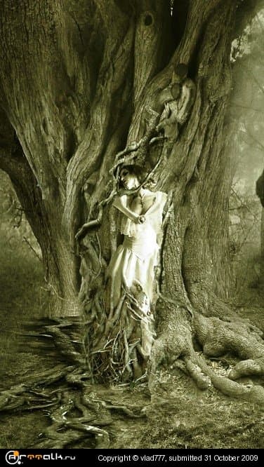 последняя прогулка