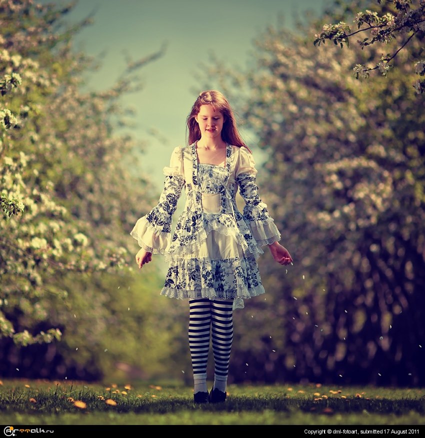 Alice''s Dream
