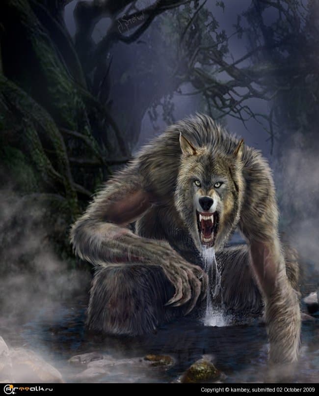 Wolf  In The Forest 02