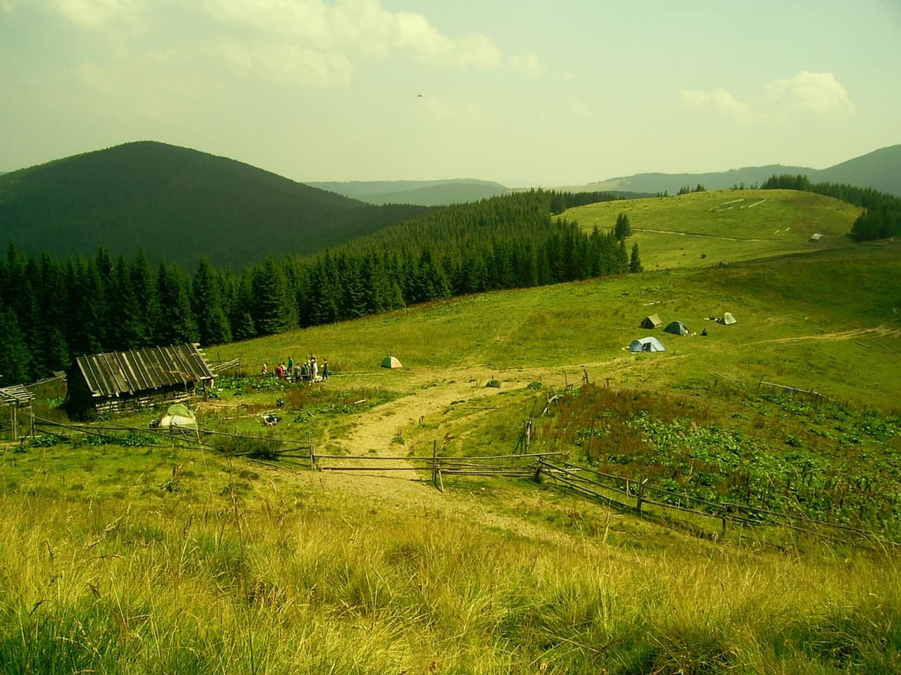 Присмотрись...в небо