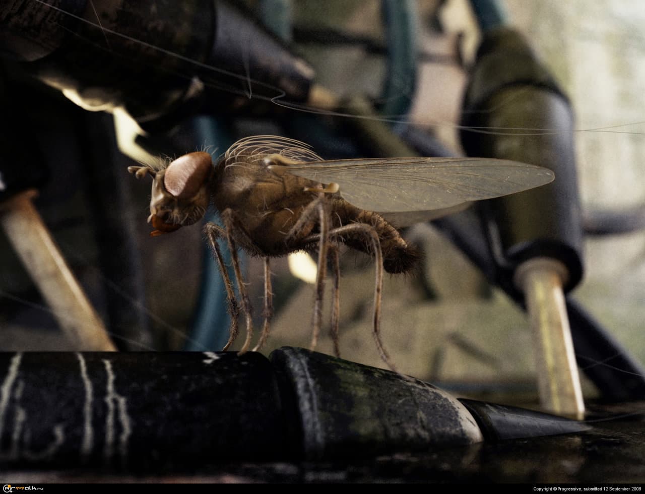 Strange Deja Vu.(Странное Дежа Вю).version2