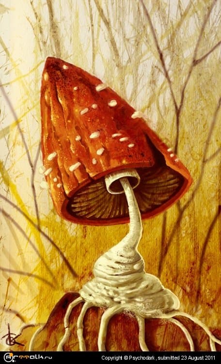 Мухоморище