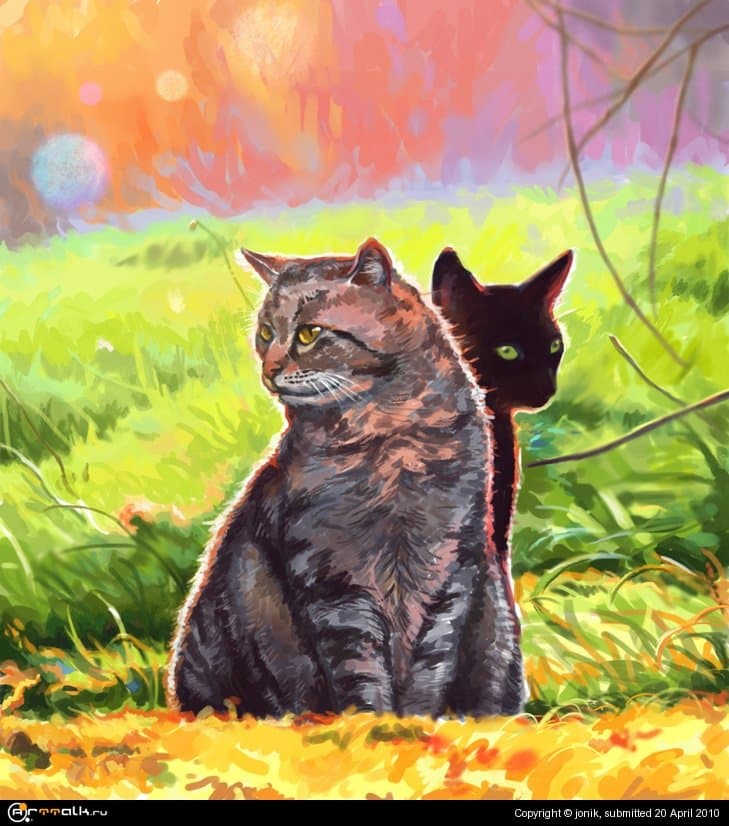 Теплые коты