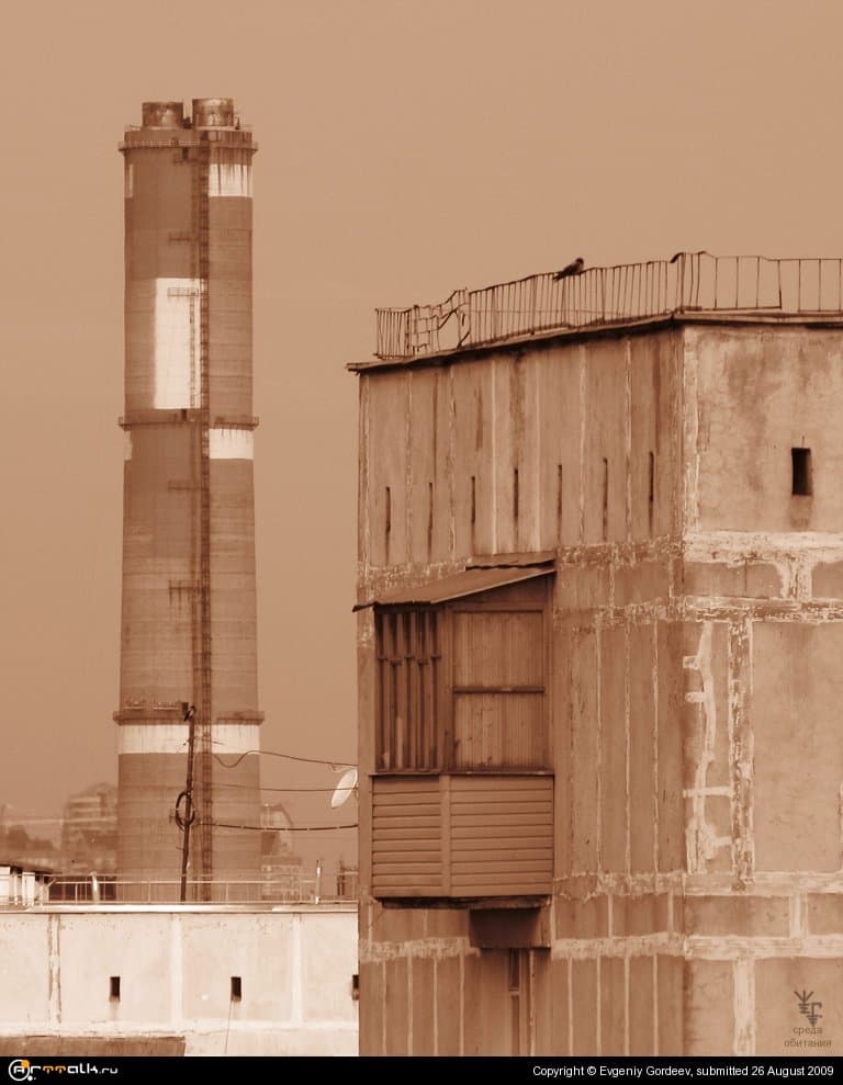 Среда обитания