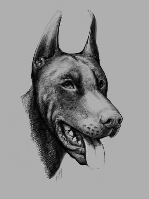 santa julf graf aldo