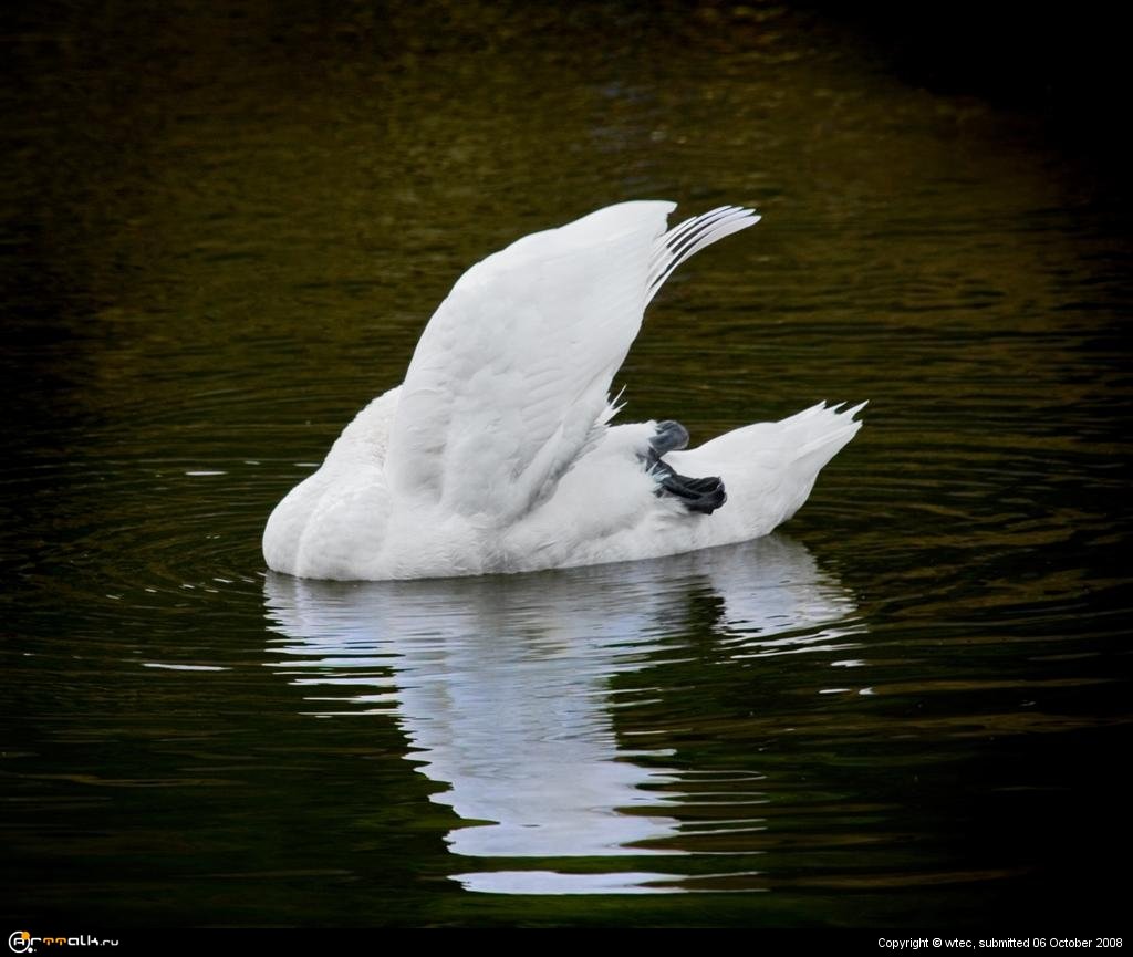 Занятие йогой