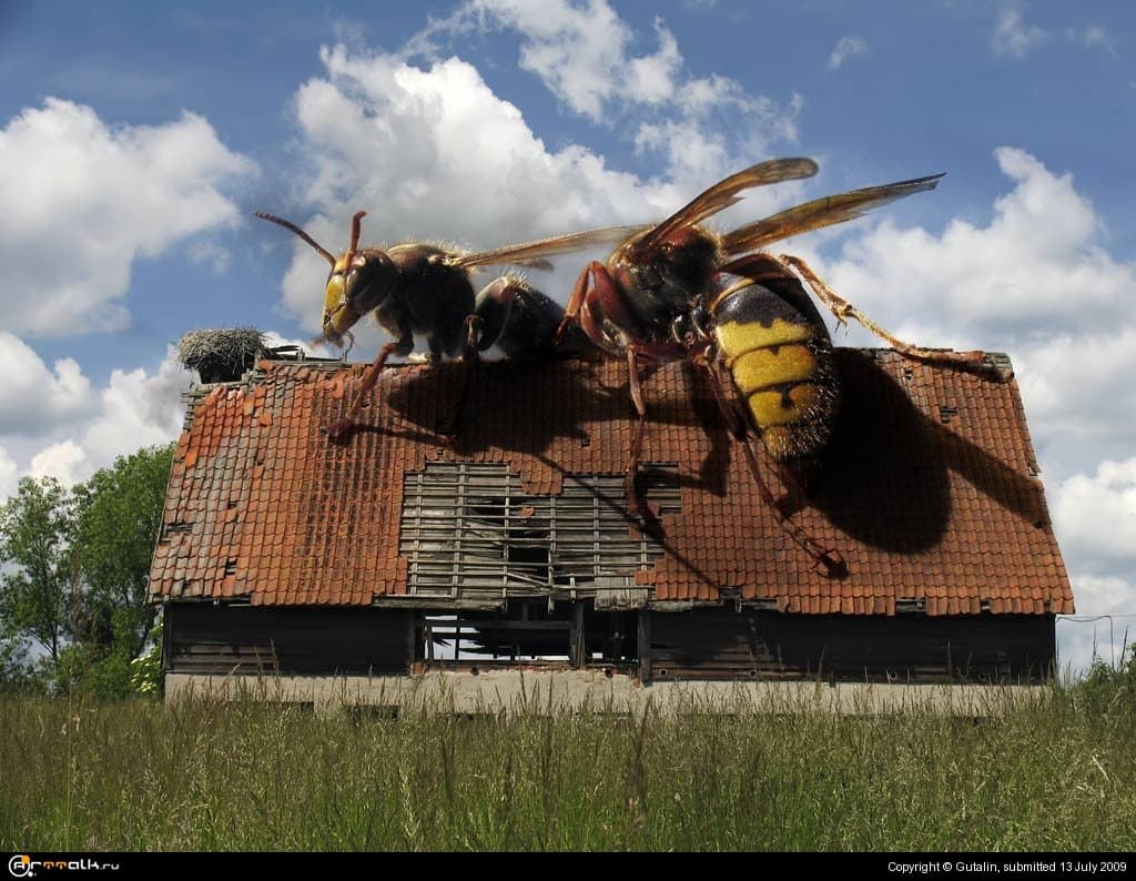 Пища Богов Ii