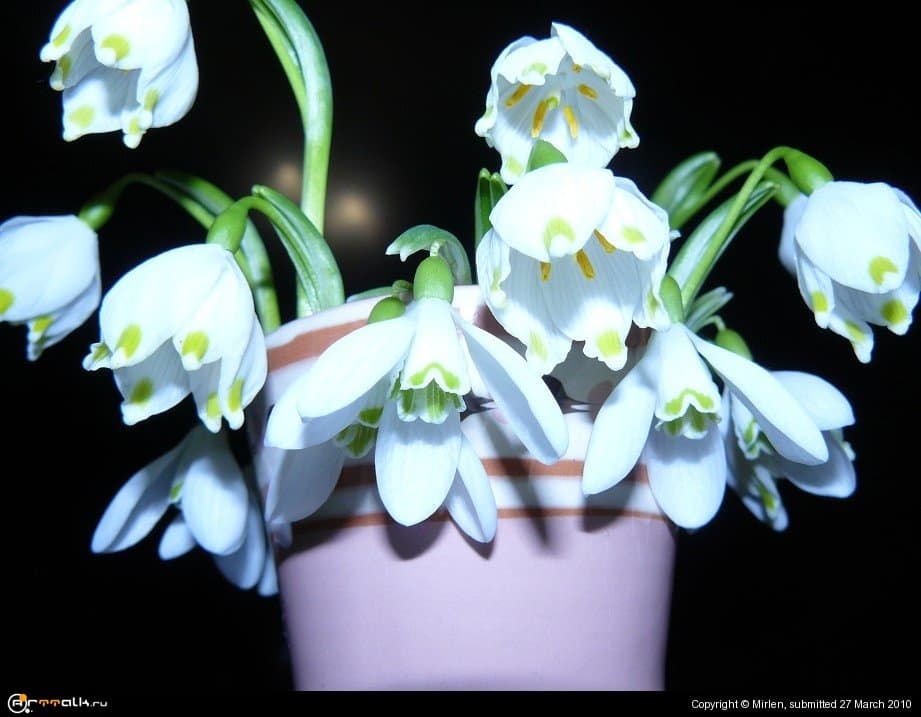 День в ночи.