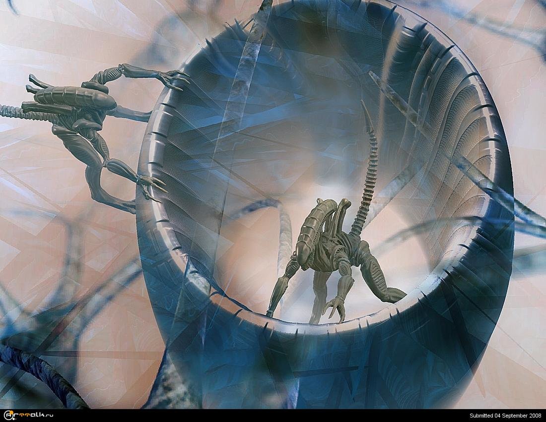 Капсула доставлена..