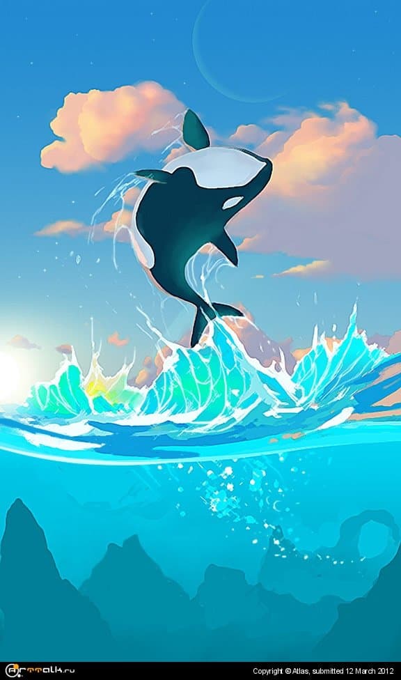 The Dream Of The Dolphin