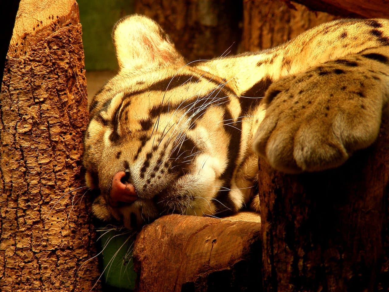 Безобидная...