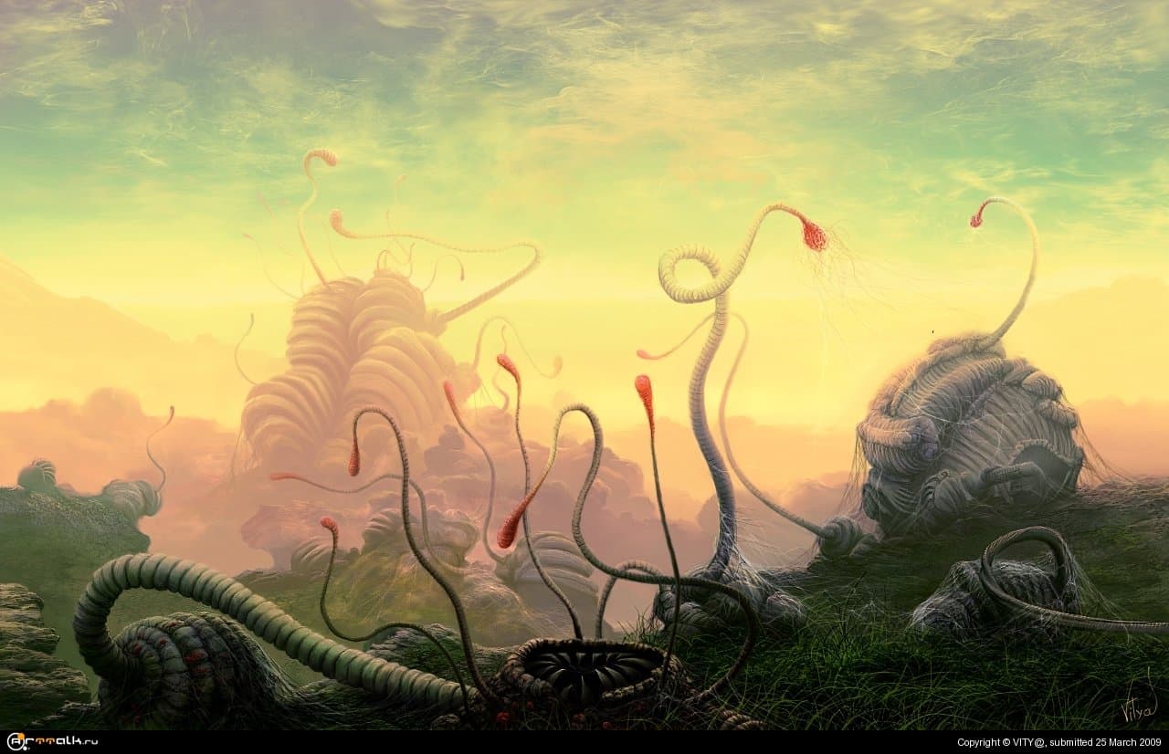 сезон размножения