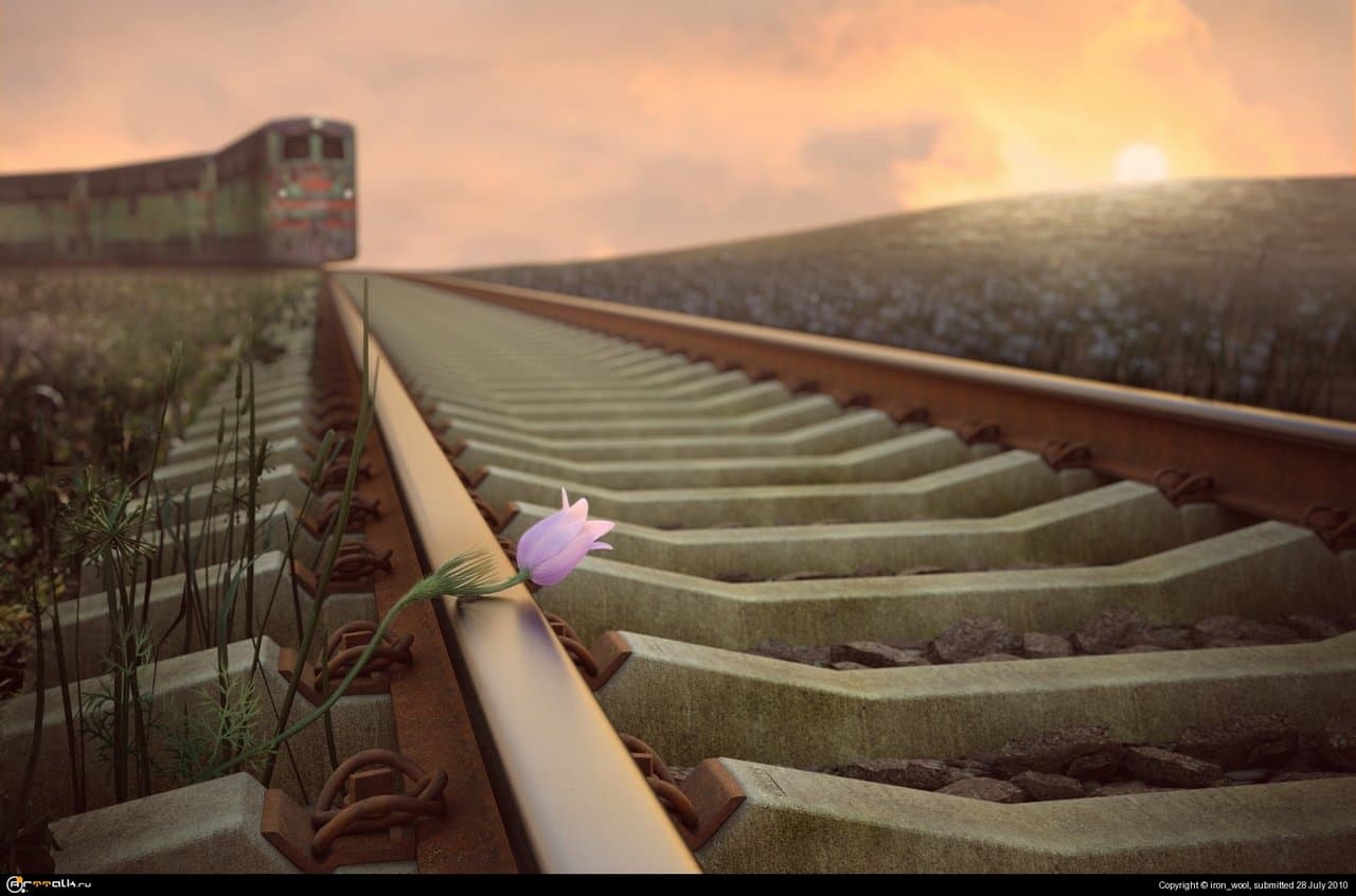 Закат или рассвет