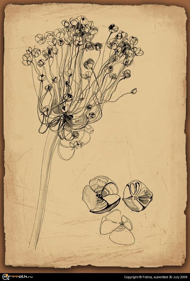 Растительные мотивы