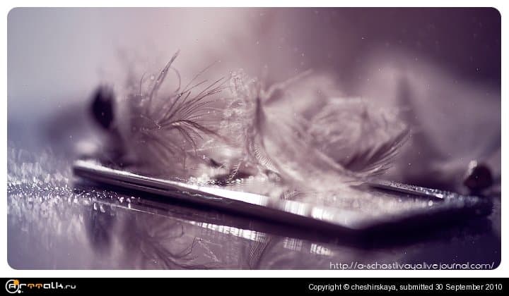 Drops And Feathers