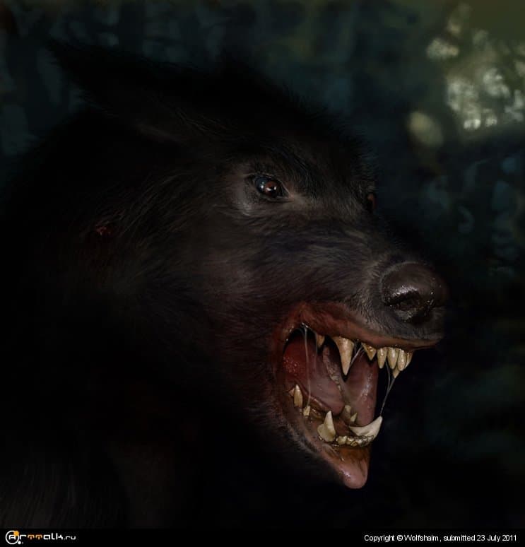 Lycan