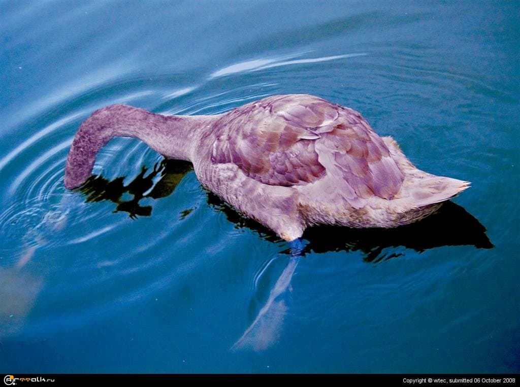 Любопытство -не порок.