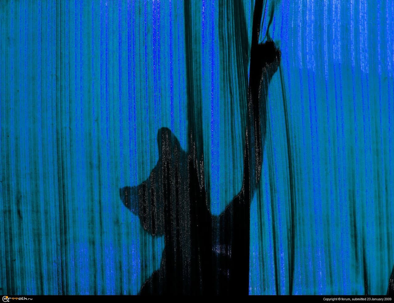 игра с тенью