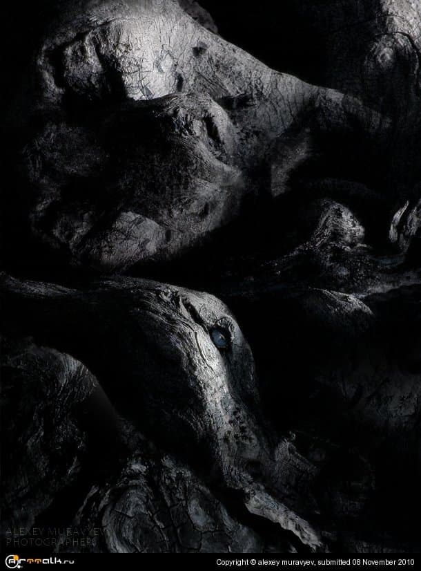 Навеки вместе