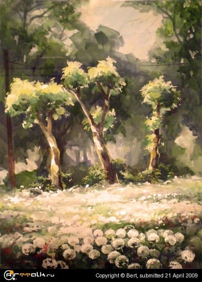 Одуванчики