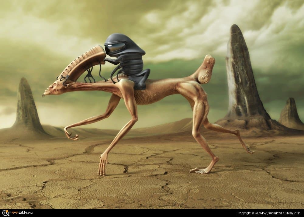 Пост человек