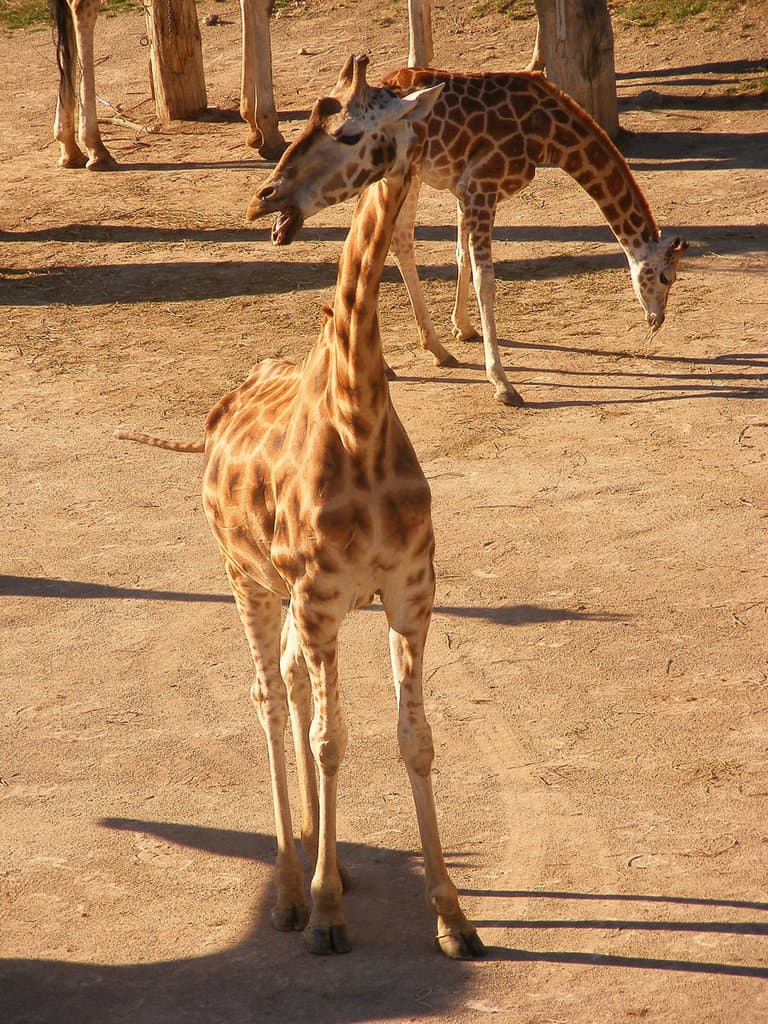 Недовольствие