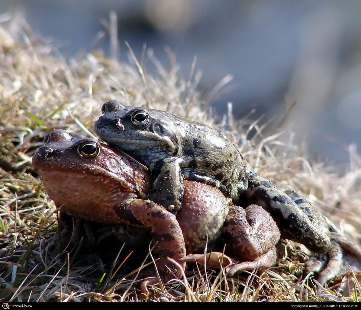 Кама с утра