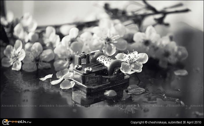 Something About Flowers And Music