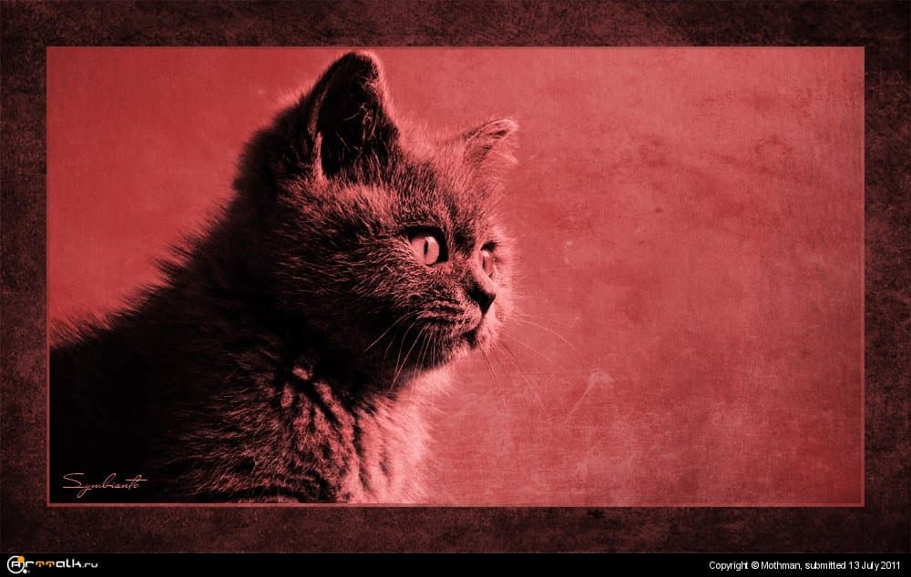 Британская