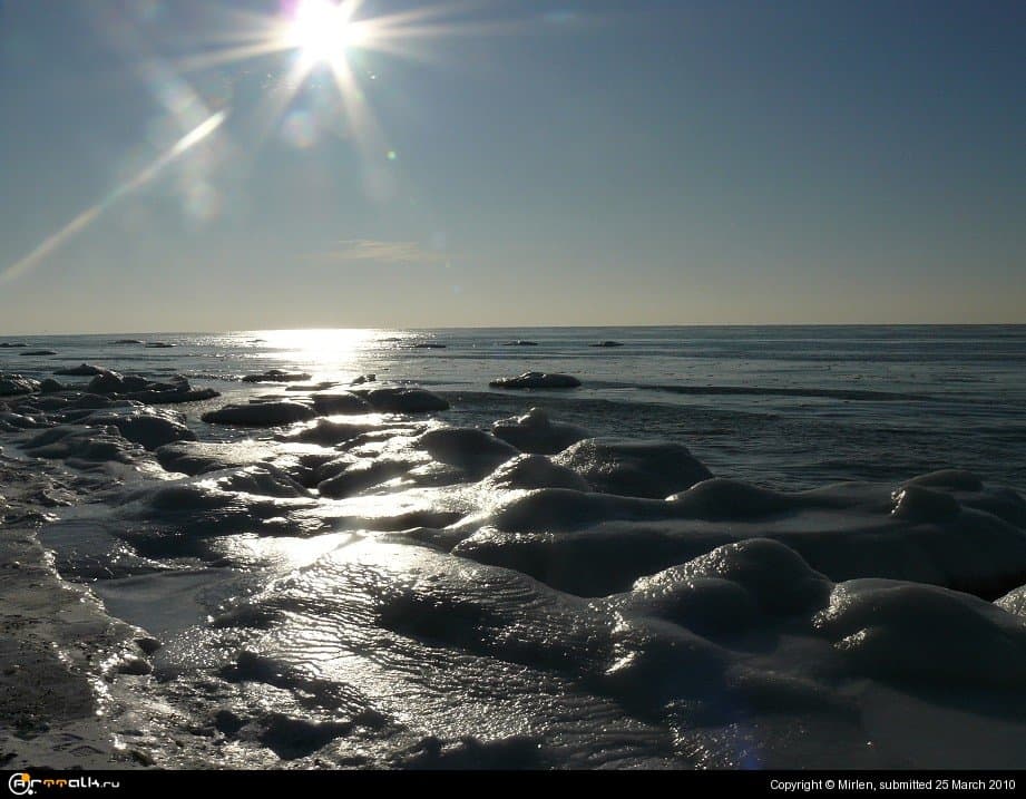 Море в панцире.