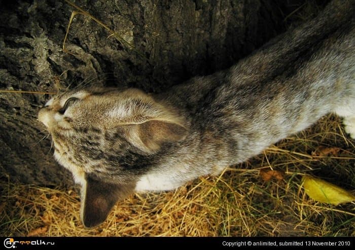 вокруг да около