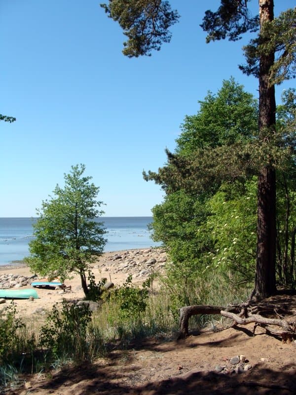 Взморье... привал...