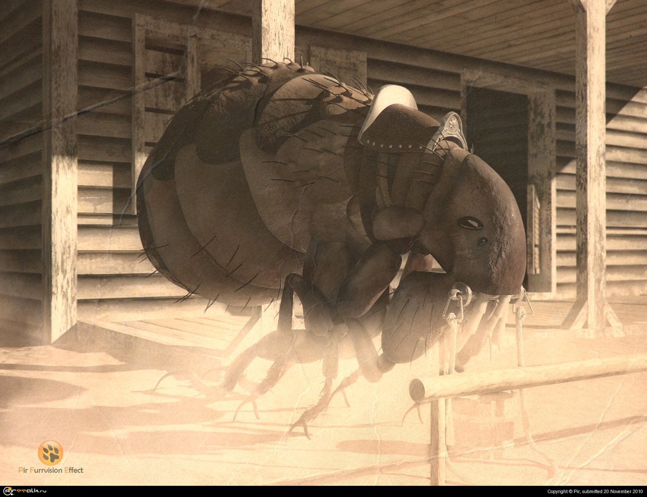 Вьючная блоха