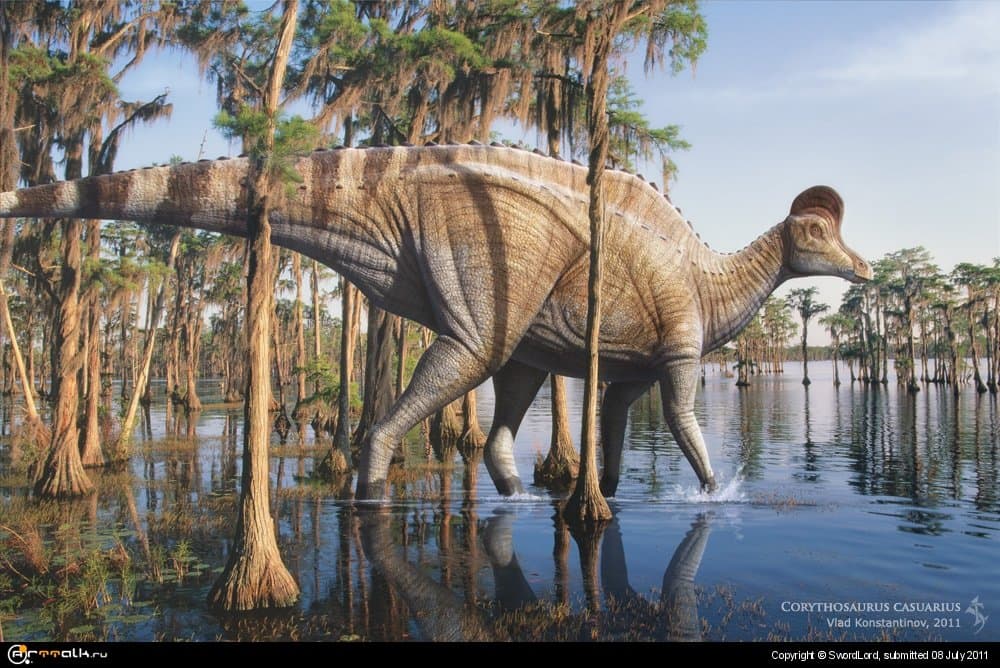 Corythosaurus Casuarius