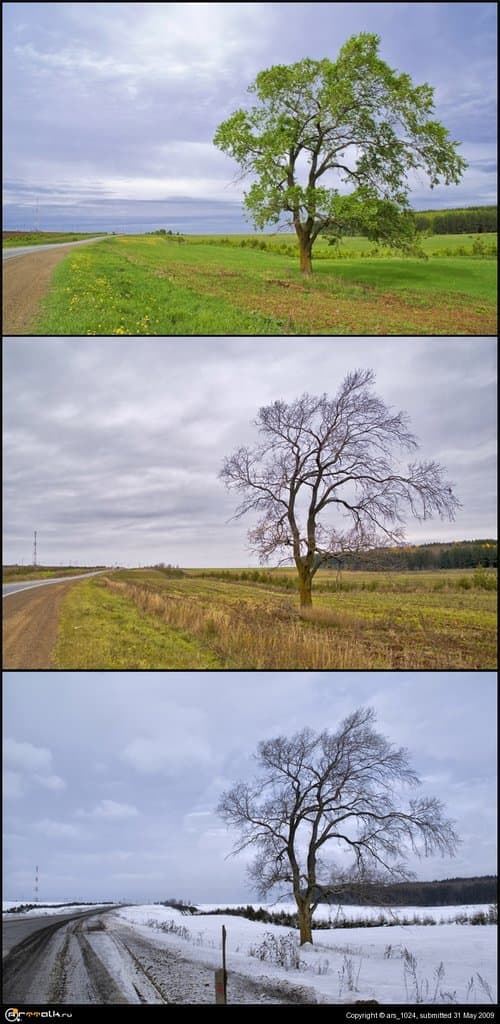 времена года