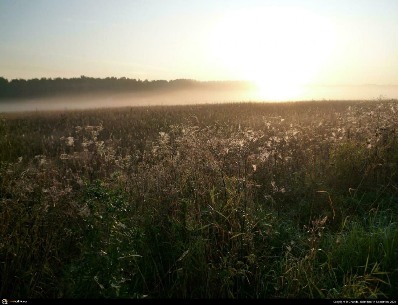 Осеннее утро