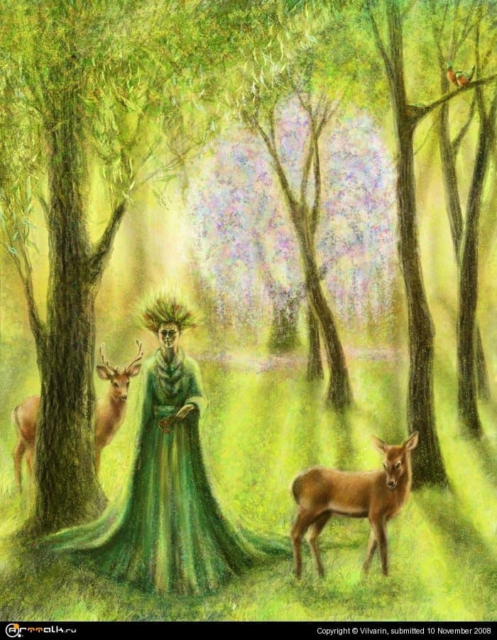 Волшебное дерево