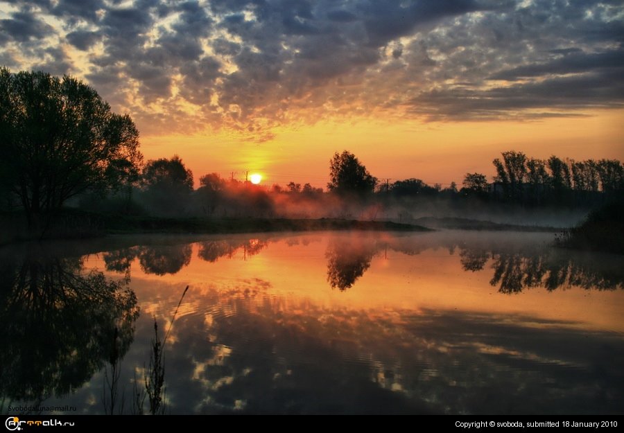 рыжее утро........