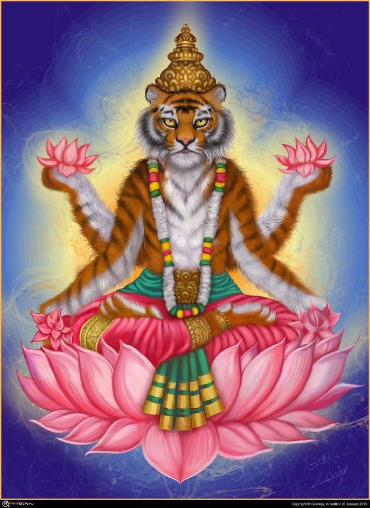 Тигр с лотосами