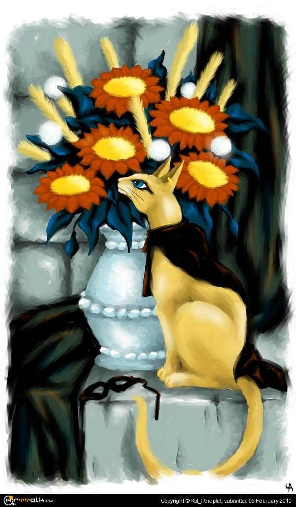 Кот Натюрморт