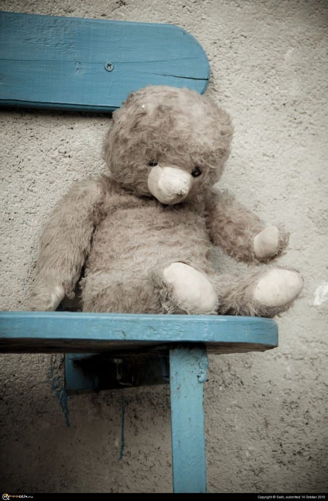 грусть старого мишки