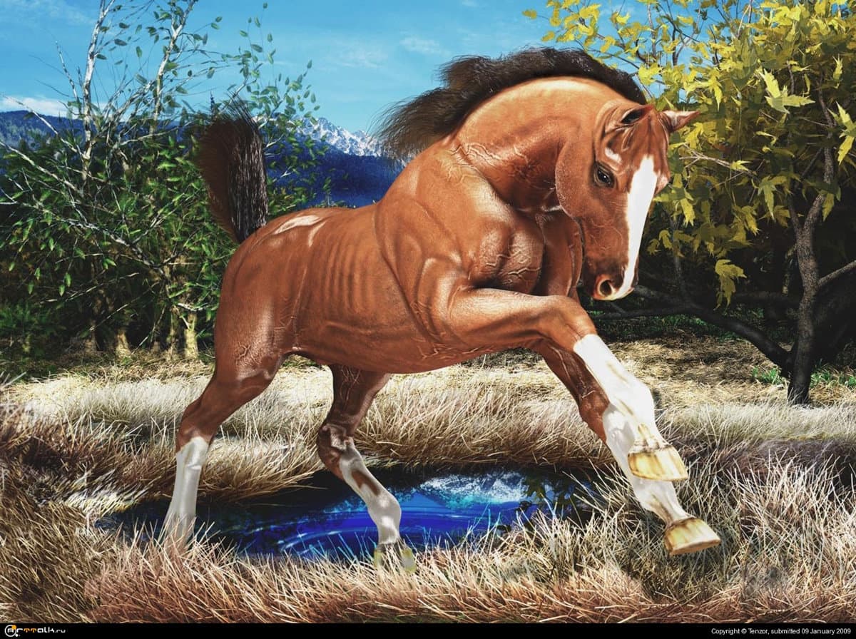 Возвращение коня