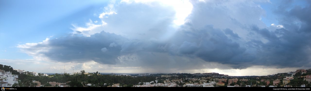 Грибной дождь