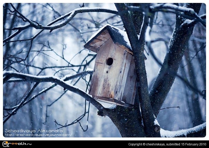 Birdhouse