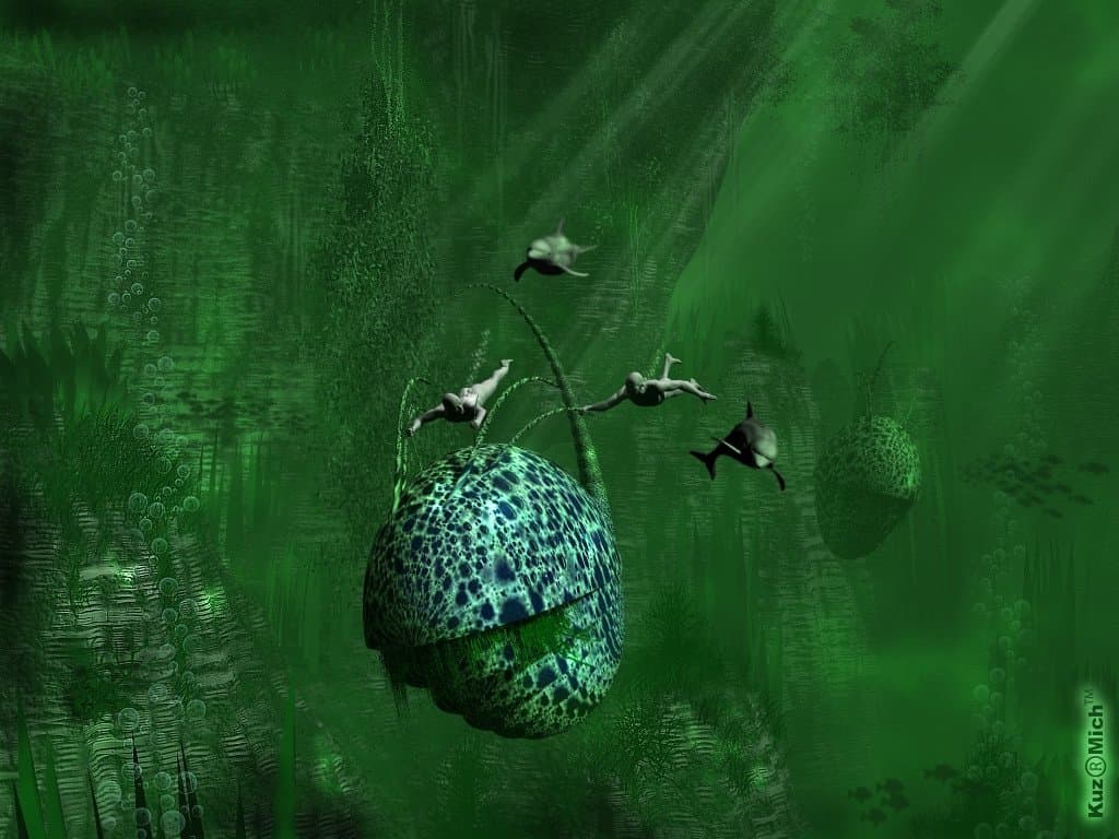 Подводный мир