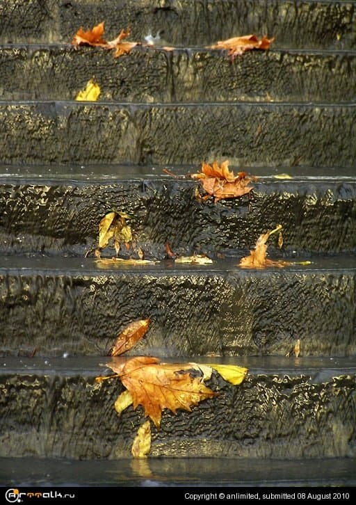 Осенняя ступенчатость