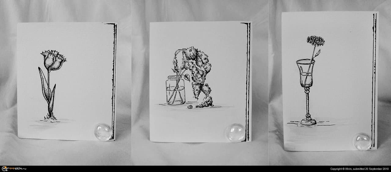 Открытки. Цветочная графика.