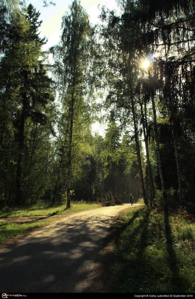 Велосипедист в лесу