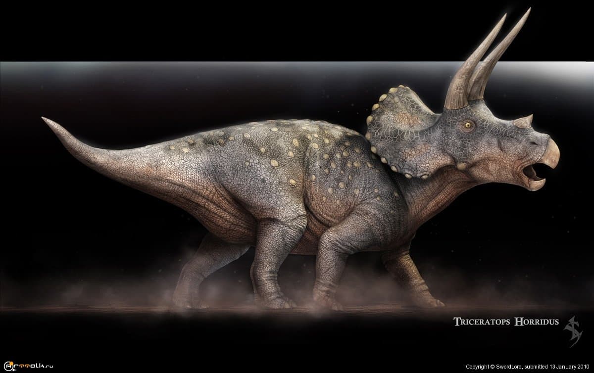 Triceratops Horridus